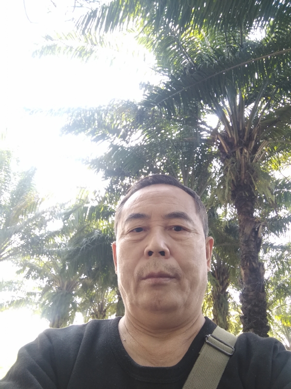重振雄风的第二张照片--南靖交友网