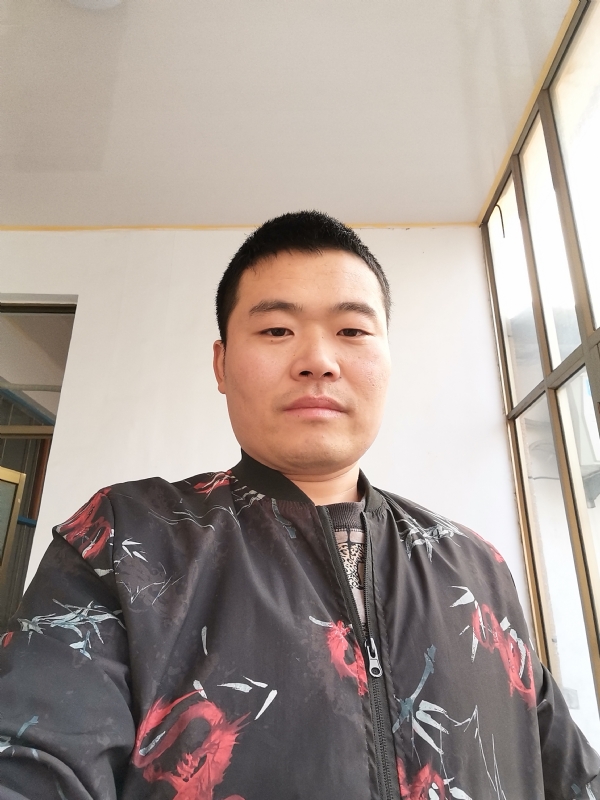 会飞的猪的第一张照片--南靖交友网