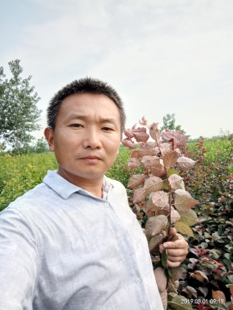 孩子爸的第一张照片--南靖交友网