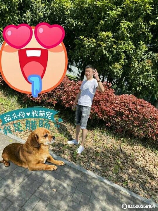 我若不坚强谁替我勇敢的第一张照片--南靖交友网