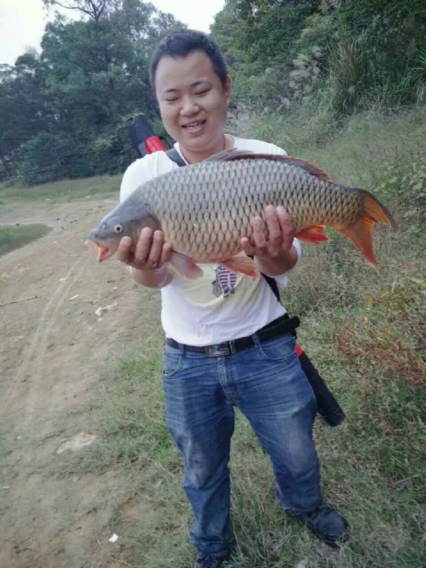 迷路的男人的第一张照片--南靖交友网