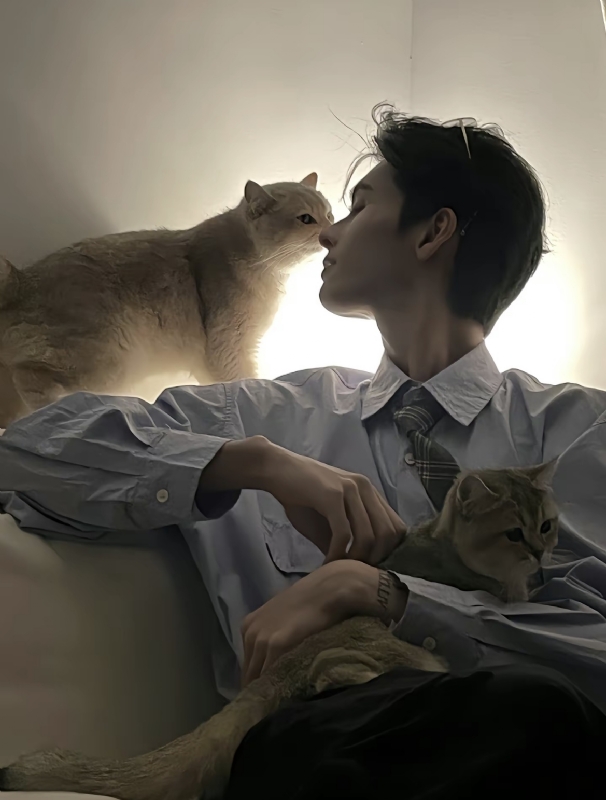 怪猫的第一张照片--南靖交友网
